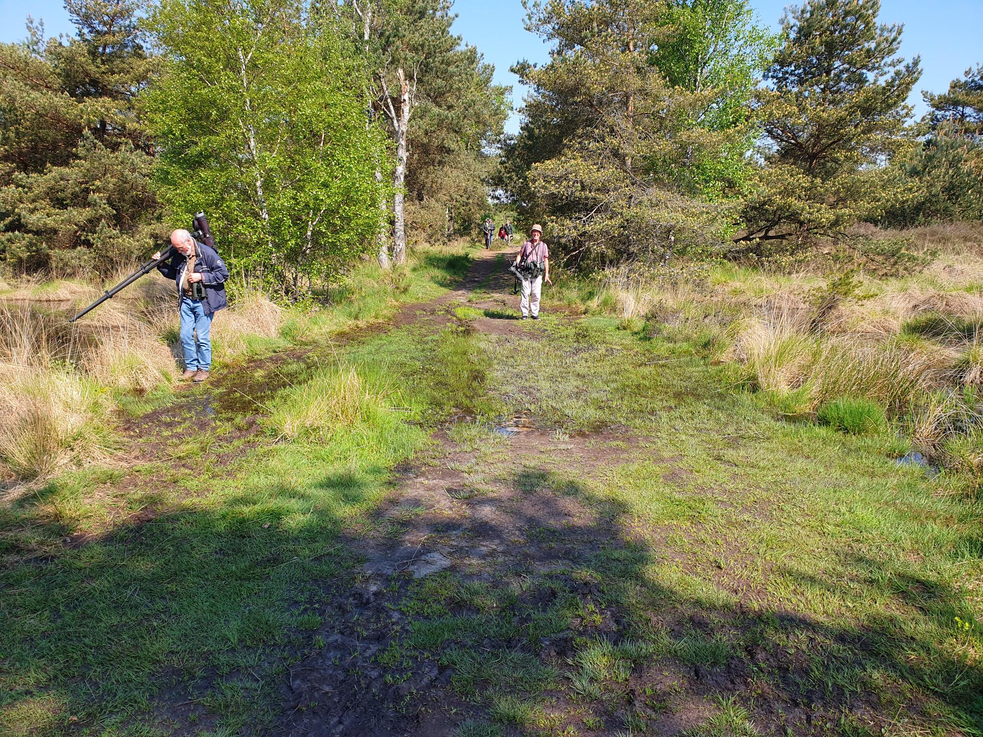 Vogelaars (Kampina). Foto van Johan Meijer.